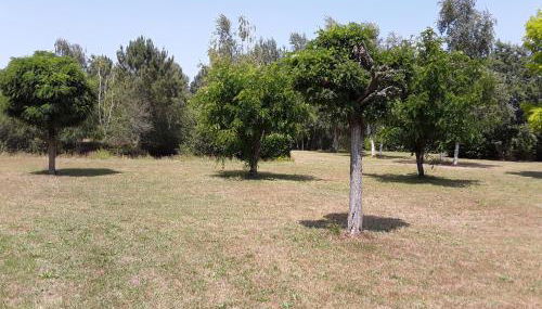 Cottage La Halouère - Photo 3, Garden