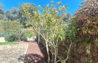 Villa Molino piscina BBQ - Foto 47