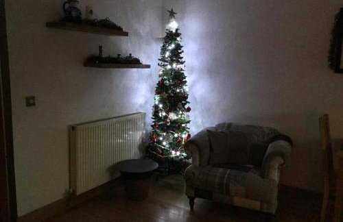 Tyddyn Perthi Farm - Foto 35