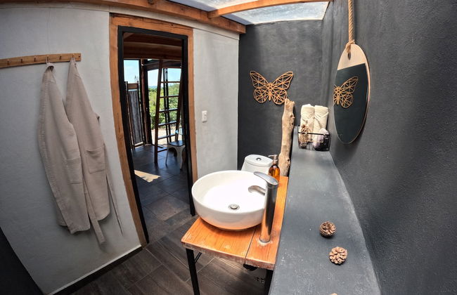 Bosque Geométrico - Foto 48