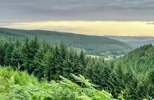 The Old Stables - Photo 14