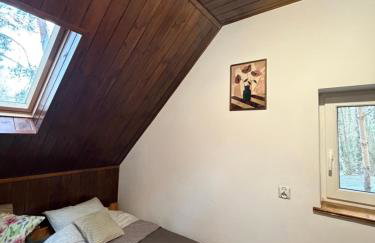 Kurort Mirowice-domek w lesie, z balią z jacuzzi i hydromasażem - Foto 48