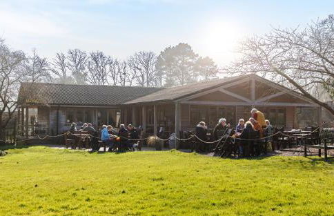 The Old Abbey Farmhouse - Stay at Quarr Abbey Monastery - Pet-Friendly Farmhouse with History & Countryside Views, surrounded by woodland & nature - Photo 48