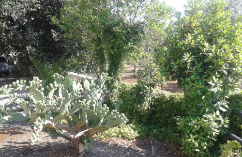 Tenuta La Spezia - Foto 55