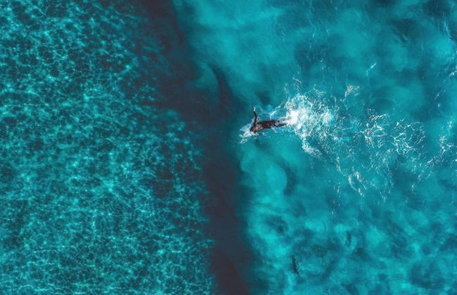 Ti Baz Beach House With Mountain View - Photo 27