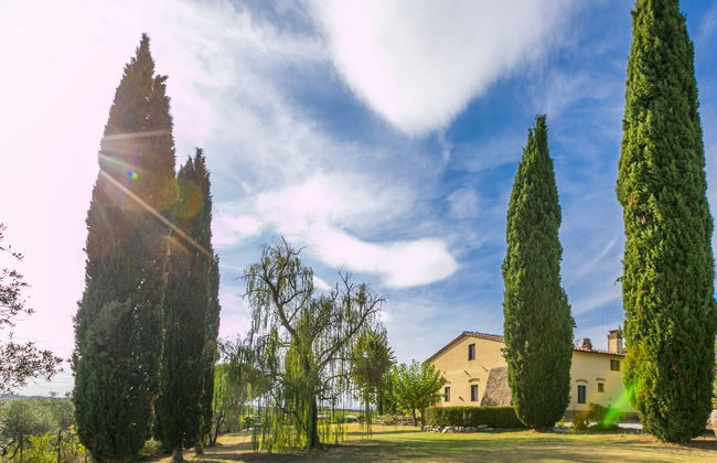 Bellavista - Foto 36