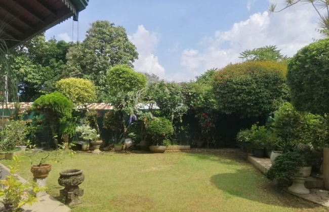 Blossoms Apartment - Photo 10