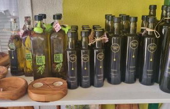 Senkini Dvori - Photo 10