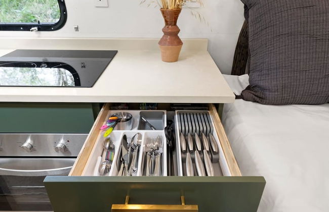 Royal Fern in Pisgah Forest - Foto 24