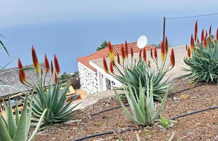 Casa Maruca - Foto 9