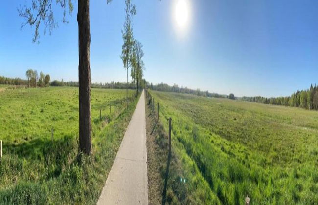 Holiday Home in Arrien Near Beerze Nature - Foto 26