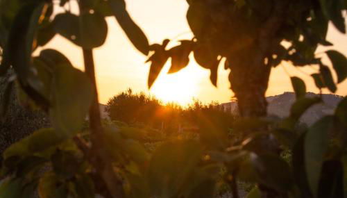 Rifugio Contemporaneo - Foto 3