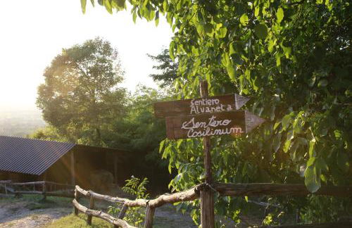 Fattoria Alvaneta - Foto 23