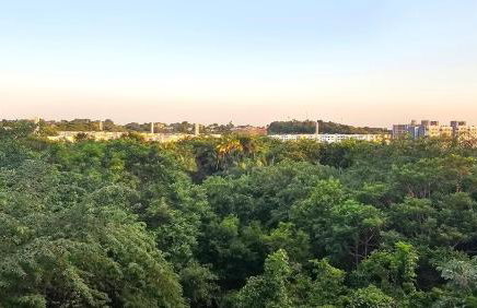 Apartamento aconchegante completo - Foto 53