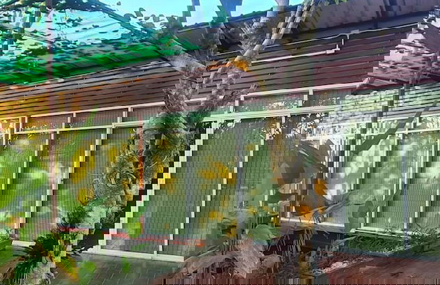 Natura Ravee Greenstay - Photo 6