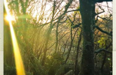 Downe Cottages - Foto 57