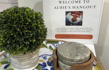 Aubie's Hangout - Walk to Downtown & Campus! - Foto 21