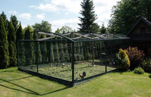 Dom Malowany - Domki - Foto 33