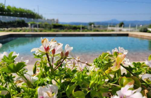 La Collina dei Cavalieri - Foto 8