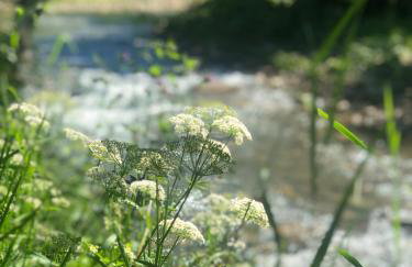 LoveLas - Apartamenty - Photo 79