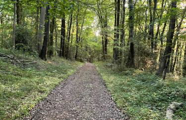 Gîte du blé normand - Foto 30