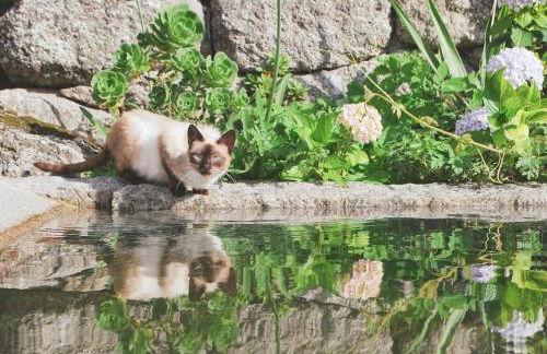 Retiro de Várzeas . Casa de Turismo Rural - Foto 23