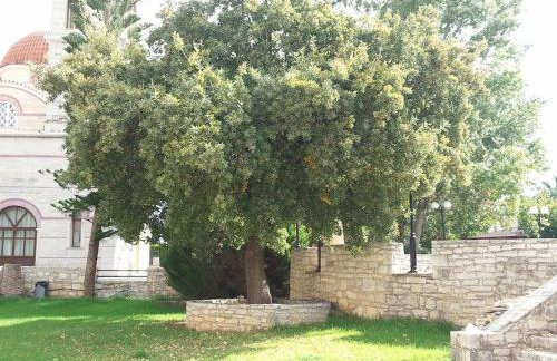 Lale's House - Photo 43