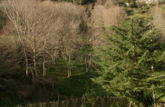 Apartamentos Rurales La Bardenilla - Foto 102