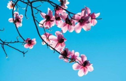 LOS SUEÑOS DE JAVIER - Foto 16