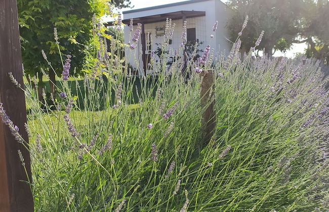 Il Giardino fra gli Ulivi - Foto 12