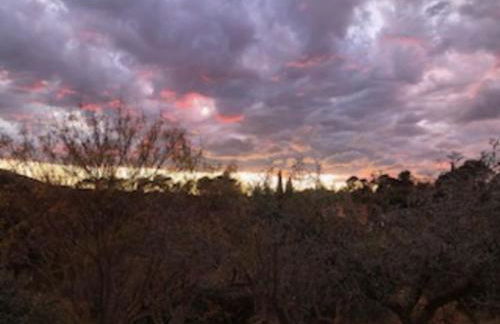 Gîte/Appartement Saint Bernard - Foto 8