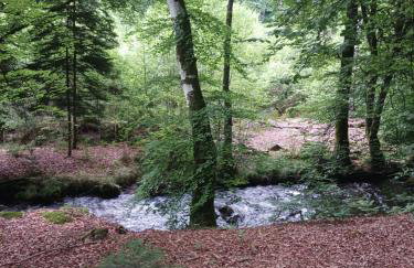 Moulin de Sansonneche - Gite Laine - Foto 31