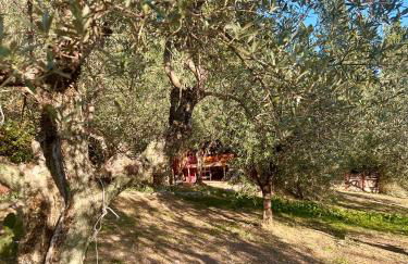 Borgo Medievale di Poggio Alla Pieve Relais, Food & Art - Foto 45