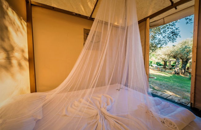 Holiday Park Tree - Foto 8