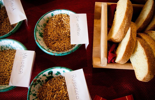 Villa in Alia With Pool & Olive Views - Photo 16