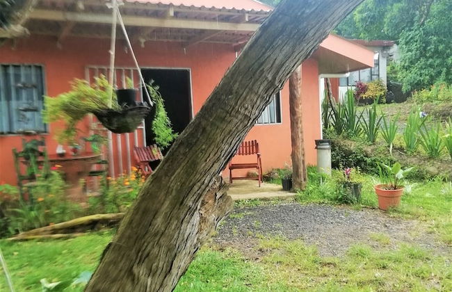 Villa Morella - Foto 26