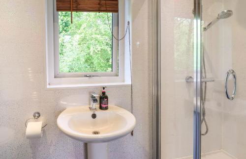 The Blacktail - Foto 14