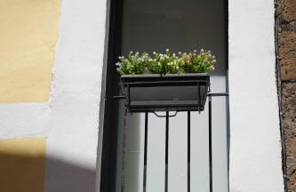 Belvedere Home - Foto 53