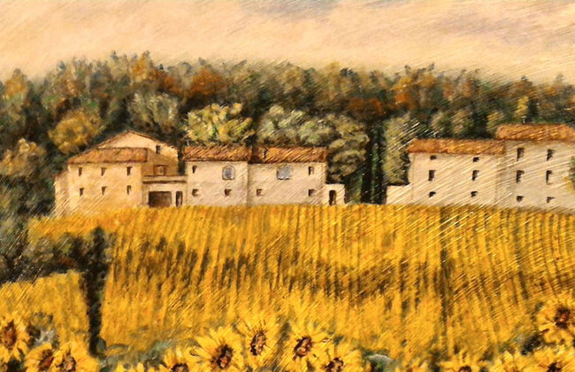 Agriturismo Podere Casenove - Photo 66