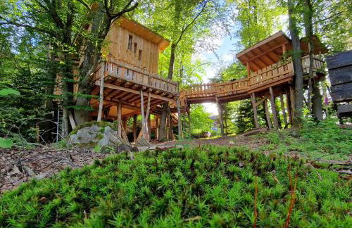 La Cabane dans les arbres du Domaine de la Forestière - Foto 1