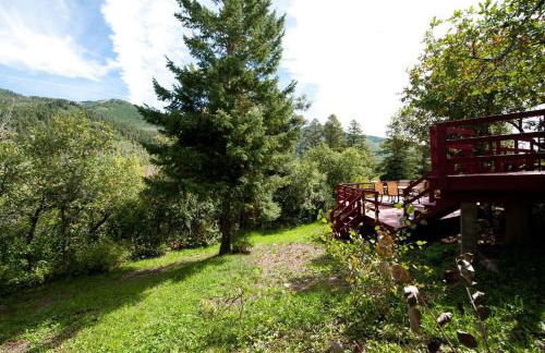 3830 County Road 124 - Foto 29