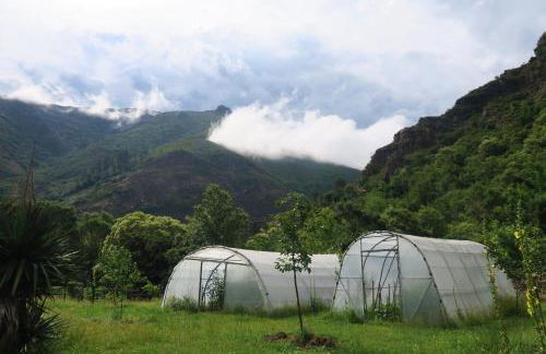 Casa Rural Chao de Castro - Foto 9