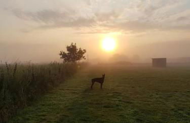 Amazingly quiet and peaceful studio getaway. - Foto 17