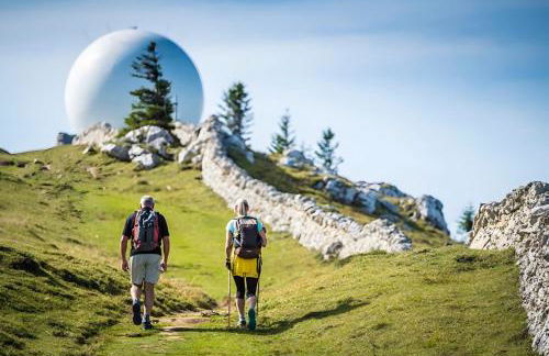 Les Rousses Du Lac - Foto 13