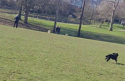 Walker's Paradise 1 with 2 free parking lots - Foto 58