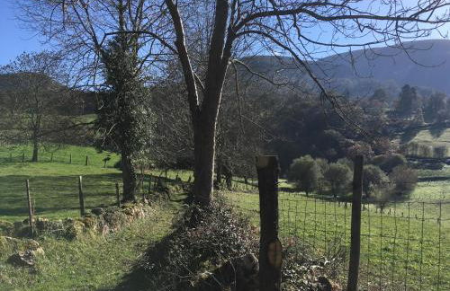 APARTAMENTOS LA LLONGAR - Foto 2