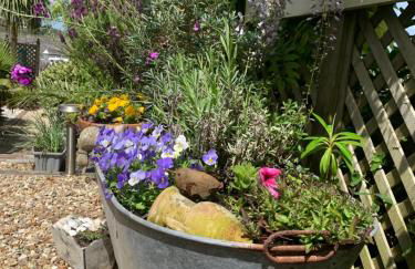 Stargazy Garden - Foto 13