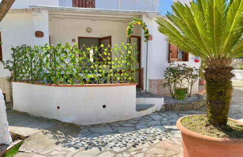 Villa Maica - Photo 16