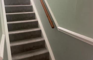 New Forest View - Foto 13