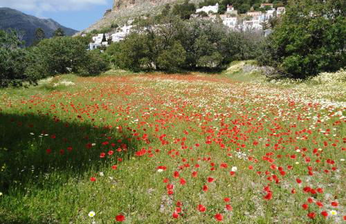 Tilos Island house - Foto 37